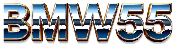 bmw55 logo